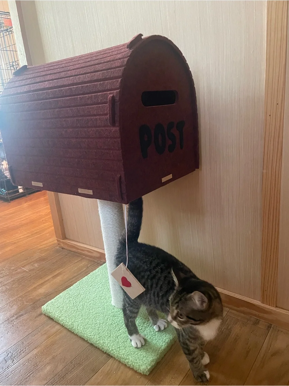 Mailbox Cat Scratcher - Green Base, Brown Mailbox